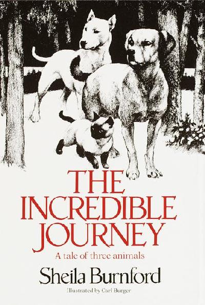 IncredibleJourney