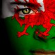 Wales_face_flag_720X360