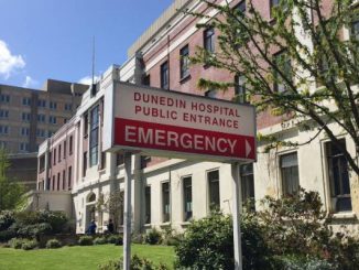 Dunedin Hospital inage