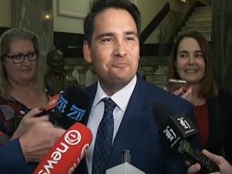 simon-bridges-image