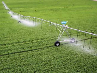 irrigation