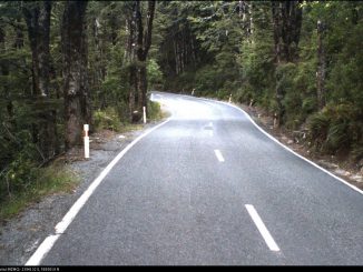 rural-road-image