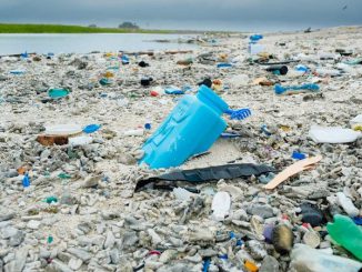 Plastic beach image