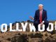 Trump sign 2
