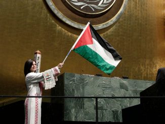 UN Palestine flag