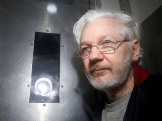 assange image
