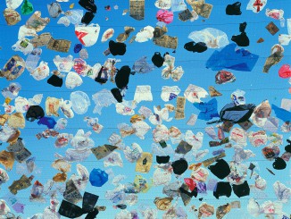 gallerystock_00091835