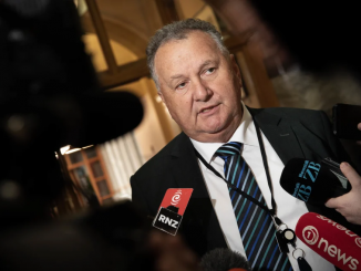 shane jones Parliament
