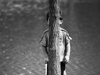treehide-big