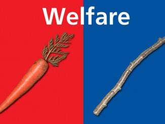 welfare_carrot_stick